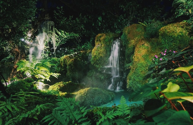 stream flowing between green ferns