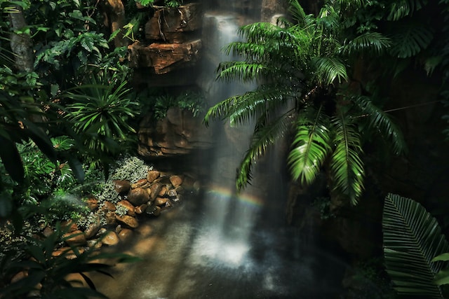 waterfall between trees with sun rays